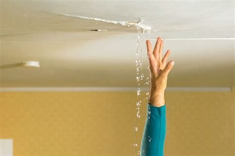 How to Handle Your Apartment Ceiling Leak 